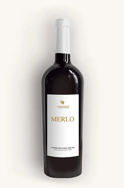 Merlo